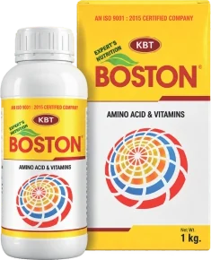 Boston bio stimulant