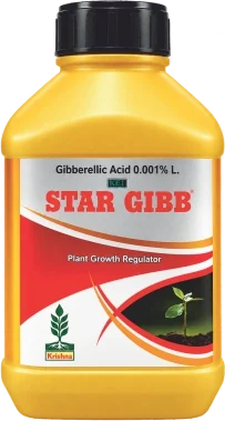 Star Gib pgr