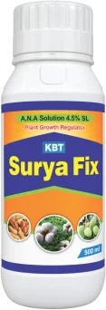 Surya Fix pgr