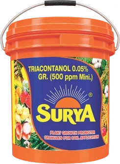 Surya GR pgr