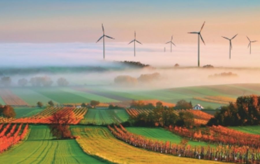 Farm fields in morning light